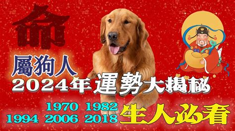 1970 屬狗2024 運勢|【1970 屬狗2024 運勢】1970屬狗2024運勢曝光，這。